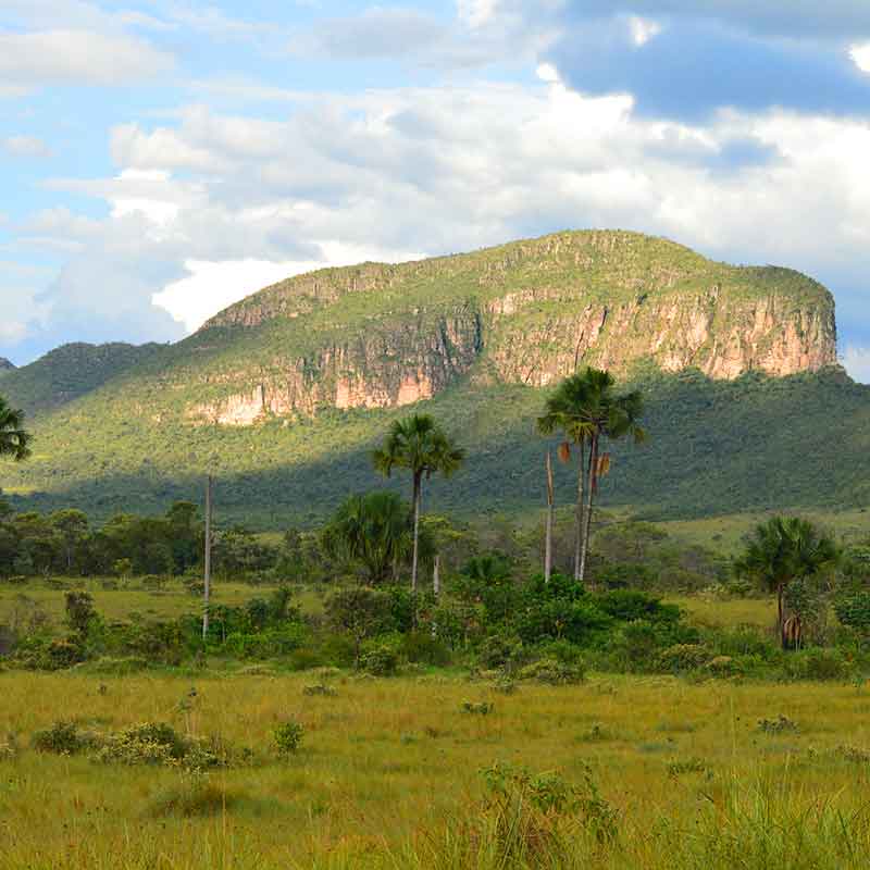 Chapada dos Veadeiros ecoturismo